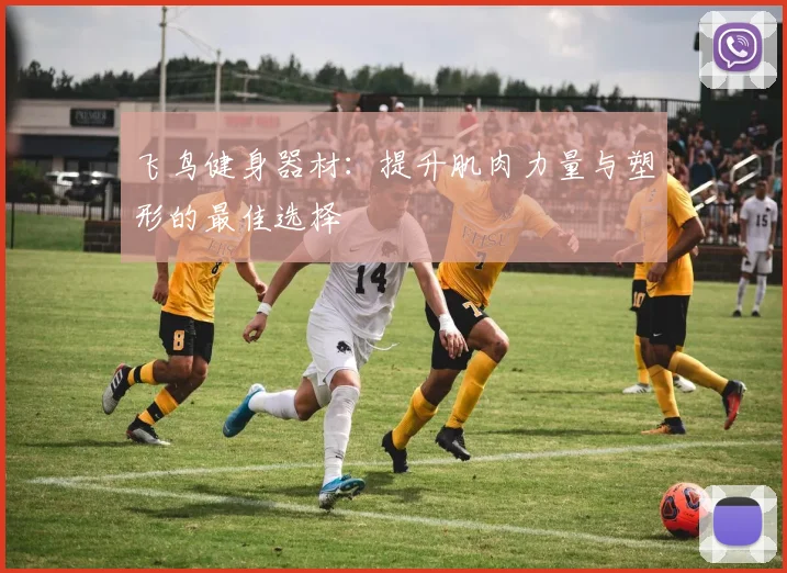 飞鸟健身器材：提升肌肉力量与塑形的最佳选择