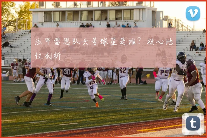 法甲雷恩队头号球星是谁？核心地位剖析